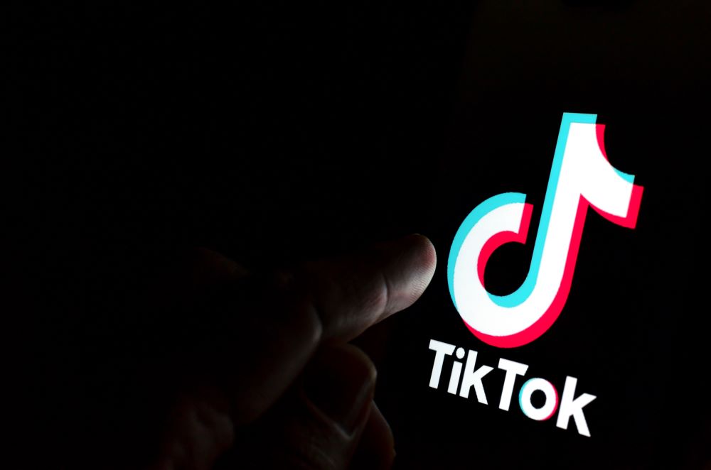 you are a idiotic virus glitch cropped｜TikTok Search